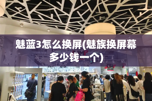 魅蓝3怎么换屏(魅族换屏幕多少钱一个)-第1张图片-星选测评