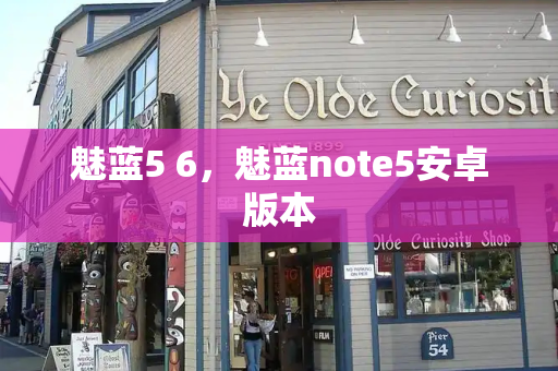 魅蓝5 6，魅蓝note5安卓版本