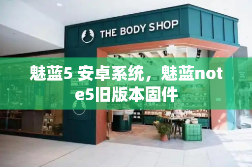 魅蓝5 安卓系统，魅蓝note5旧版本固件-第1张图片-星选测评