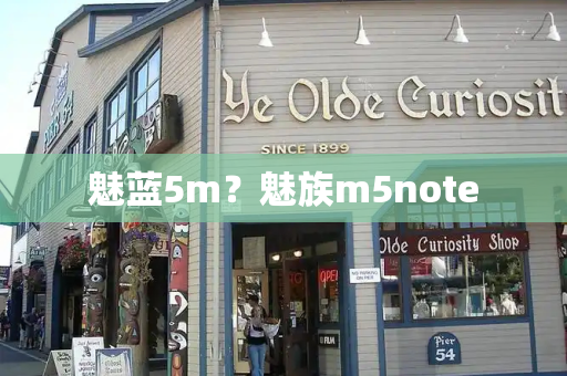 魅蓝5m？魅族m5note-第1张图片-星选测评