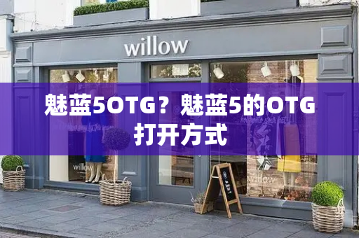 魅蓝5OTG？魅蓝5的OTG打开方式-第1张图片-星选测评