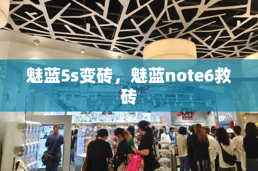 魅蓝5s变砖，魅蓝note6救砖