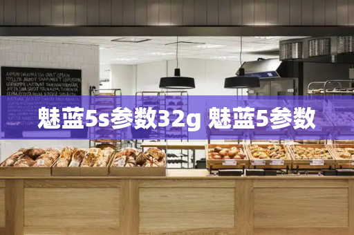 魅蓝5s参数32g 魅蓝5参数-第1张图片-星选测评