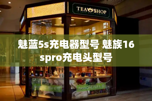 魅蓝5s充电器型号 魅族16spro充电头型号