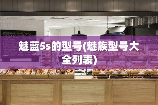 魅蓝5s的型号(魅族型号大全列表)