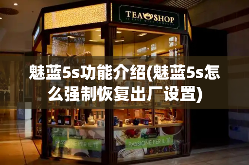 魅蓝5s功能介绍(魅蓝5s怎么强制恢复出厂设置)-第1张图片-星选测评