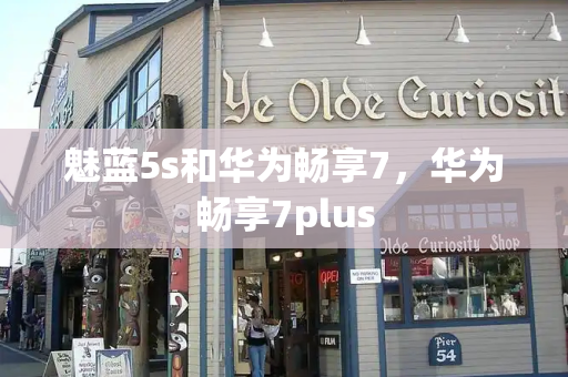 魅蓝5s和华为畅享7，华为畅享7plus-第1张图片-星选测评