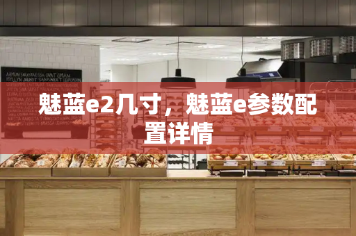 魅蓝e2几寸，魅蓝e参数配置详情-第1张图片-星选测评