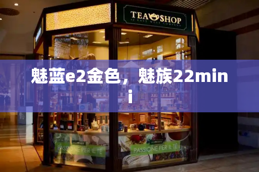 魅蓝e2金色，魅族22mini