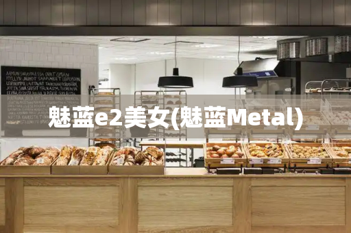 魅蓝e2美女(魅蓝Metal)-第1张图片-星选测评