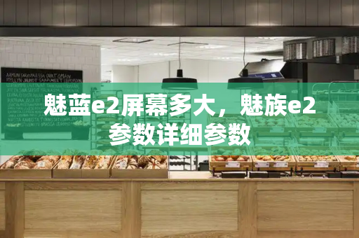 魅蓝e2屏幕多大，魅族e2参数详细参数
