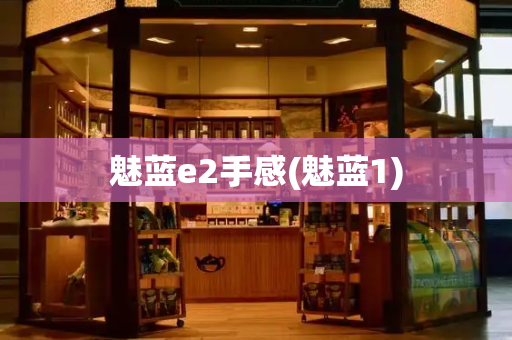 魅蓝e2手感(魅蓝1)