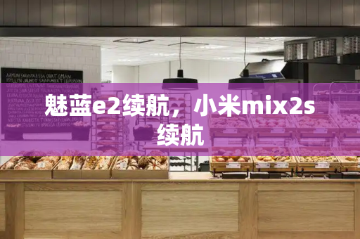 魅蓝e2续航，小米mix2s续航-第1张图片-星选测评