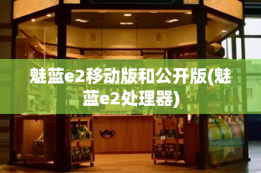 魅蓝e2移动版和公开版(魅蓝e2处理器)
