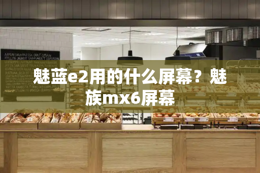 魅蓝e2用的什么屏幕？魅族mx6屏幕