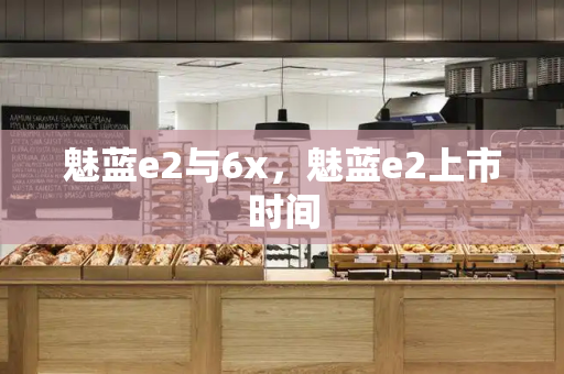 魅蓝e2与6x，魅蓝e2上市时间-第1张图片-星选测评