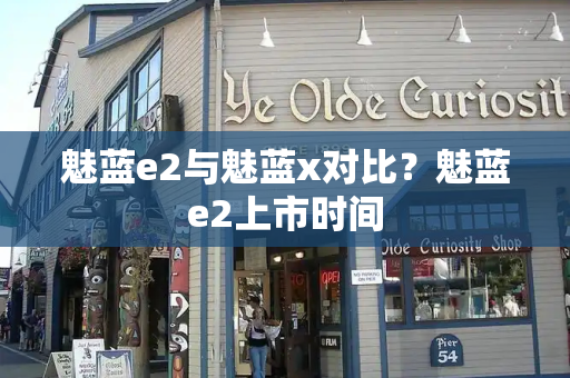 魅蓝e2与魅蓝x对比？魅蓝e2上市时间-第1张图片-星选测评