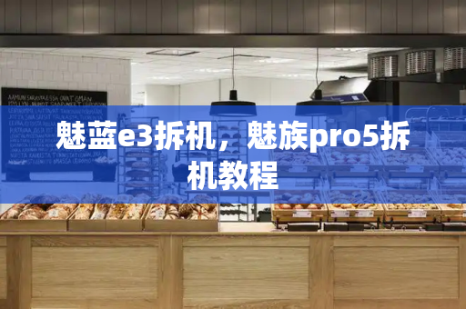 魅蓝e3拆机，魅族pro5拆机教程-第1张图片-星选测评