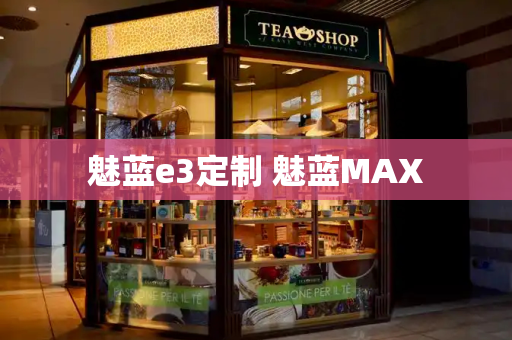魅蓝e3定制 魅蓝MAX-第1张图片-星选测评