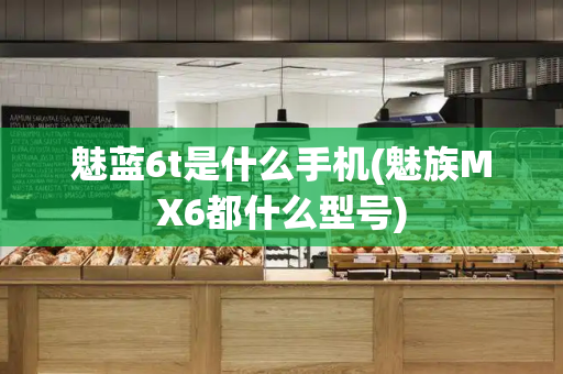 魅蓝6t是什么手机(魅族MX6都什么型号)