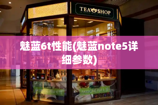 魅蓝6t性能(魅蓝note5详细参数)-第1张图片-星选测评