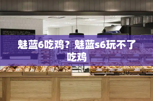 魅蓝6吃鸡？魅蓝s6玩不了吃鸡-第1张图片-星选测评