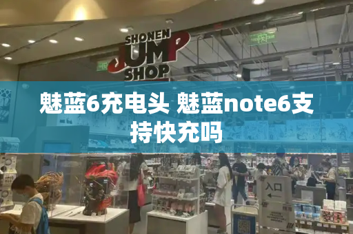 魅蓝6充电头 魅蓝note6支持快充吗-第1张图片-星选测评