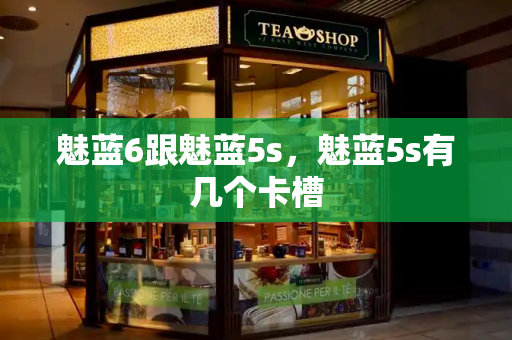 魅蓝6跟魅蓝5s，魅蓝5s有几个卡槽