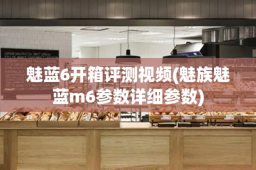 魅蓝6开箱评测视频(魅族魅蓝m6参数详细参数)