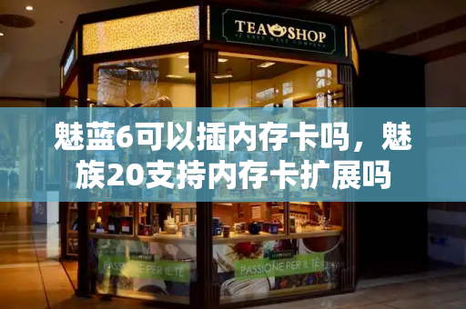魅蓝6可以插内存卡吗，魅族20支持内存卡扩展吗-第1张图片-星选测评