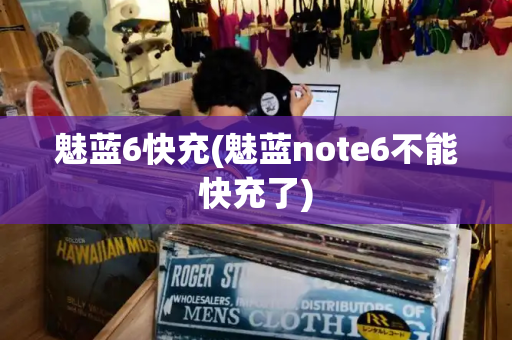 魅蓝6快充(魅蓝note6不能快充了)