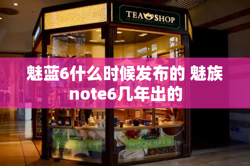 魅蓝6什么时候发布的 魅族note6几年出的-第1张图片-星选测评