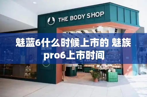 魅蓝6什么时候上市的 魅族pro6上市时间