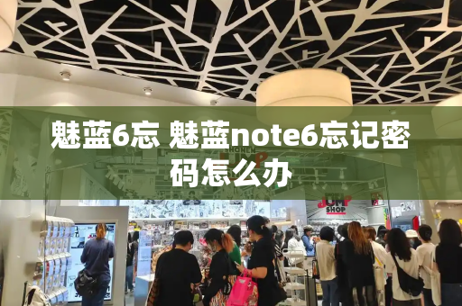魅蓝6忘 魅蓝note6忘记密码怎么办