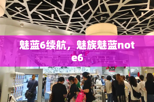 魅蓝6续航，魅族魅蓝note6-第1张图片-星选测评