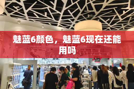 魅蓝6颜色，魅蓝6现在还能用吗-第1张图片-星选测评