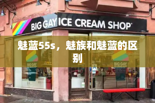 魅蓝55s，魅族和魅蓝的区别-第1张图片-星选测评