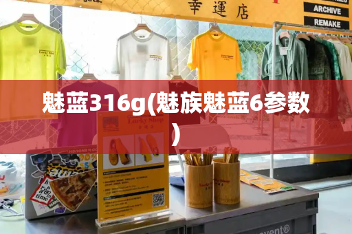 魅蓝316g(魅族魅蓝6参数)