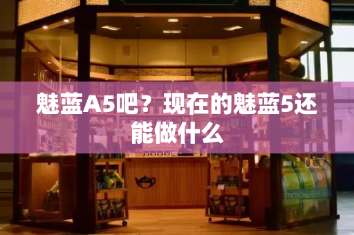 魅蓝A5吧？现在的魅蓝5还能做什么