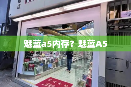 魅蓝a5内存？魅蓝A5-第1张图片-星选测评