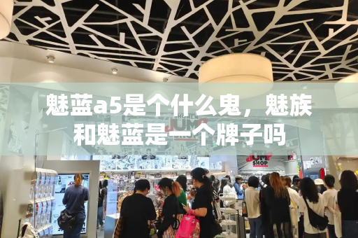魅蓝a5是个什么鬼，魅族和魅蓝是一个牌子吗-第1张图片-星选测评
