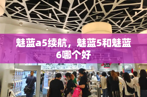 魅蓝a5续航，魅蓝5和魅蓝6哪个好-第1张图片-星选测评