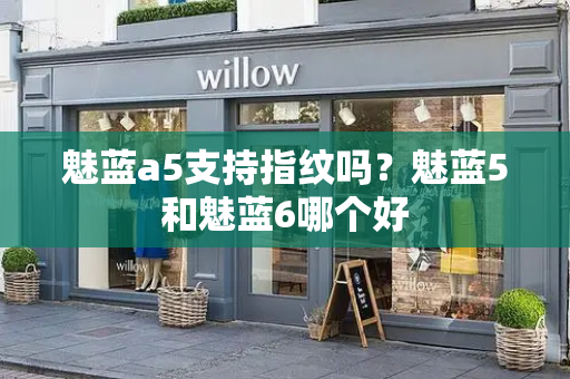 魅蓝a5支持指纹吗？魅蓝5和魅蓝6哪个好