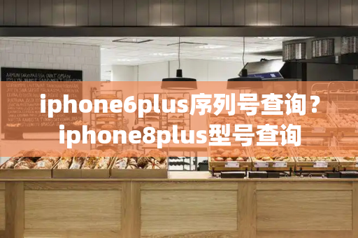iphone6plus序列号查询？iphone8plus型号查询