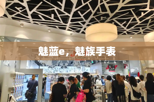 魅蓝e，魅族手表