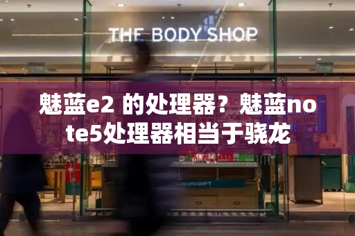 魅蓝e2 的处理器？魅蓝note5处理器相当于骁龙