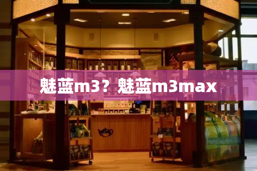 魅蓝m3？魅蓝m3max-第1张图片-星选测评