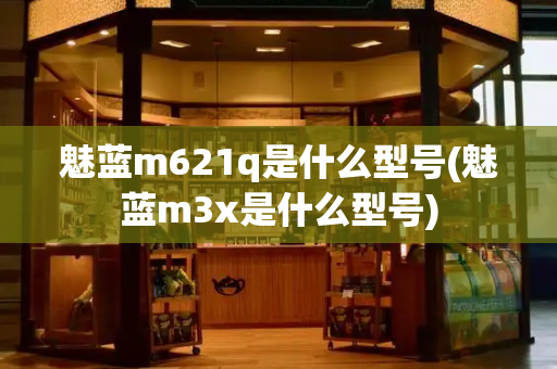 魅蓝m621q是什么型号(魅蓝m3x是什么型号)-第1张图片-星选测评