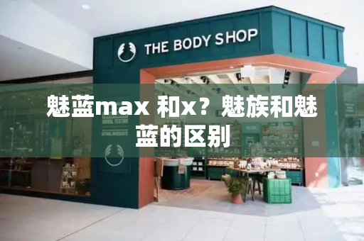 魅蓝max 和x？魅族和魅蓝的区别-第1张图片-星选测评