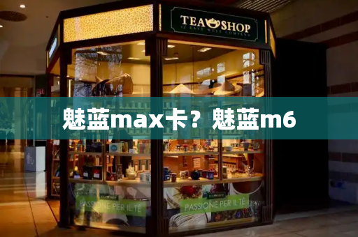 魅蓝max卡？魅蓝m6-第1张图片-星选测评